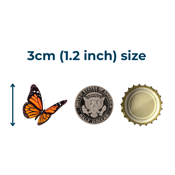 3cm (1.2 inches) temporary tattoo size comparison