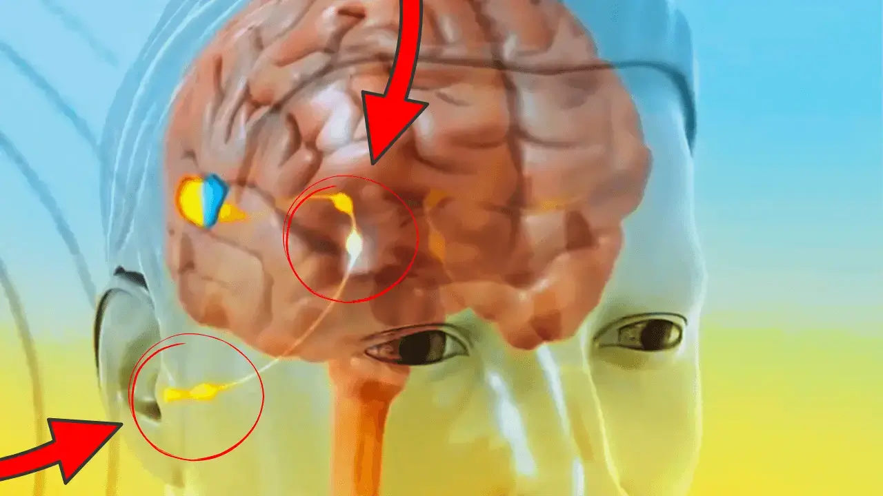 Video showing the 10-second tinnitus relief method