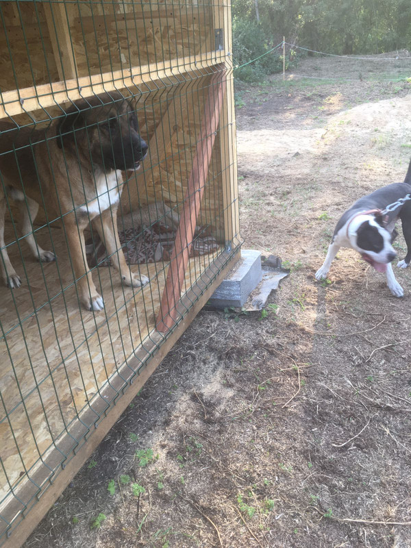 AD1598FA-9215-4239-AE3A-2F5358FE0A0E