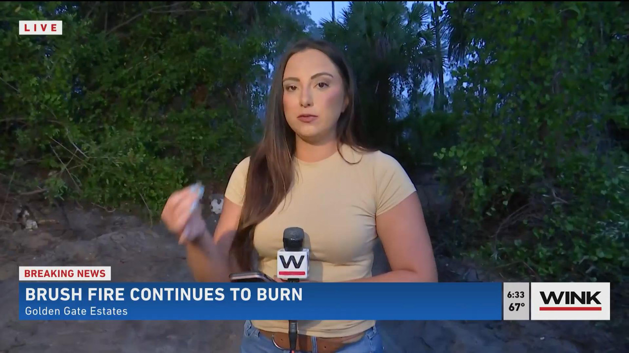 05.23 - 11.00.00 - WINK News @ 6 00AM Sunday. Local news, sports and ....ts_snapshot_33.43_[2021.05.