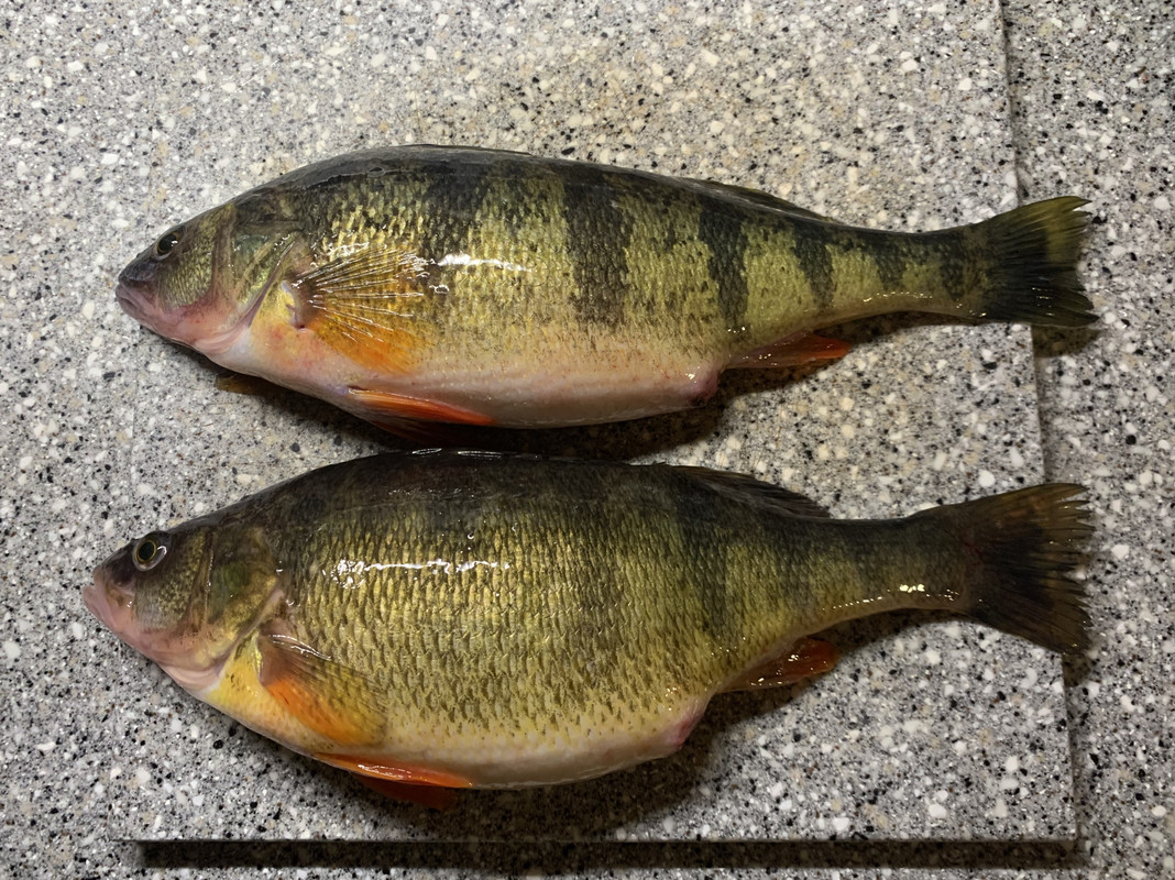 627DC067-D57B-4EA5-8477-B08BB35CD624