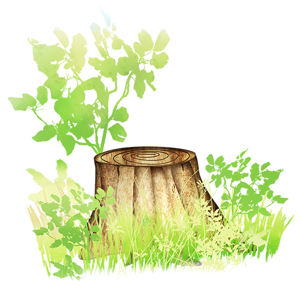 KBK_ForestSchool (143)