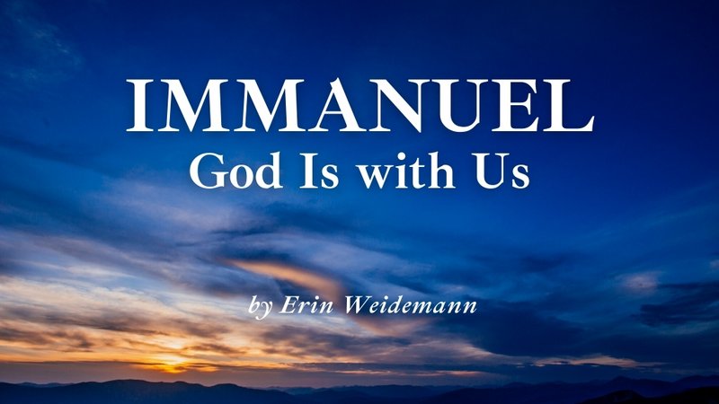 [Image: Erin-Weidemann-cover-photo-1.jpg]