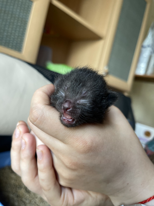 2F233C01-CBC8-4A85-ABFD-588A12A769FA