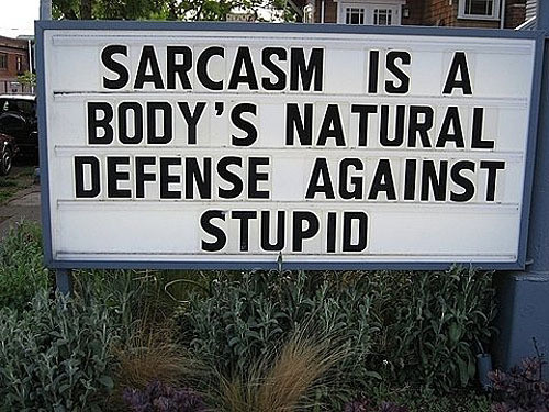Sarcasm-Is-A-Bodys-Natural-Defense-Against-Stupid-Funny-Sign-Board.jpg