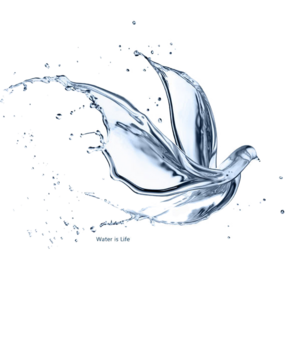 marine mammal effec-png Free Transparent PNG image in precap