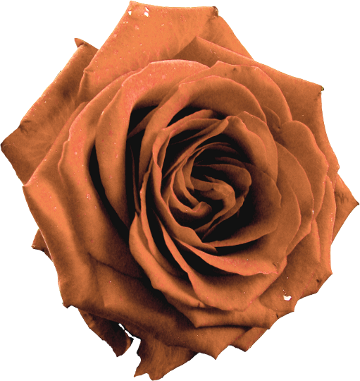 Autumn Witchery (109)