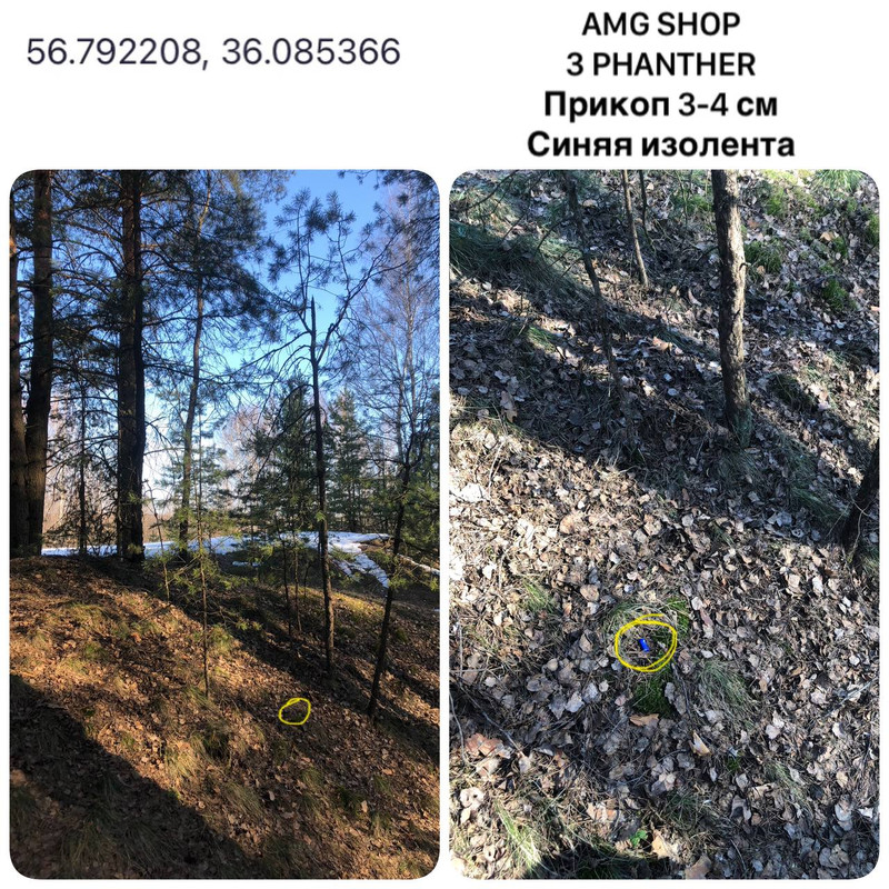 IMG 20260327 153011 542