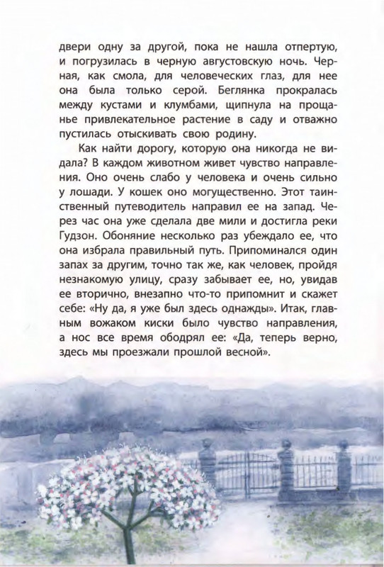 2019-page-0050