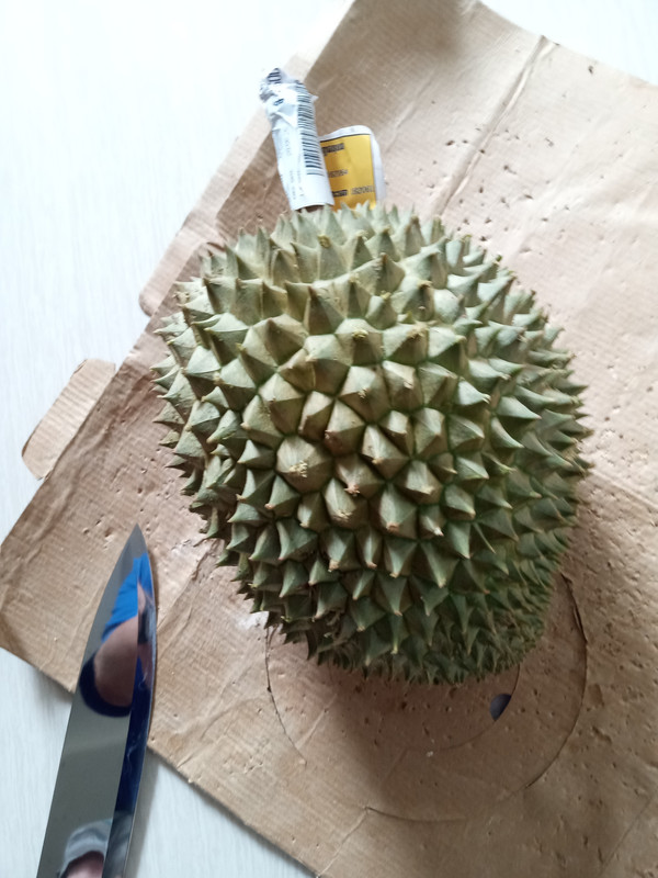 Durian20260620