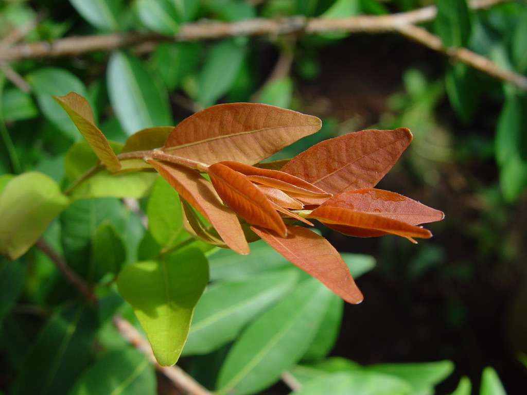 8C436DE8-9678-414D-8289-B48DA5E9DFBF_1_105_c