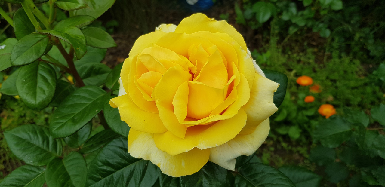 20190519_141527