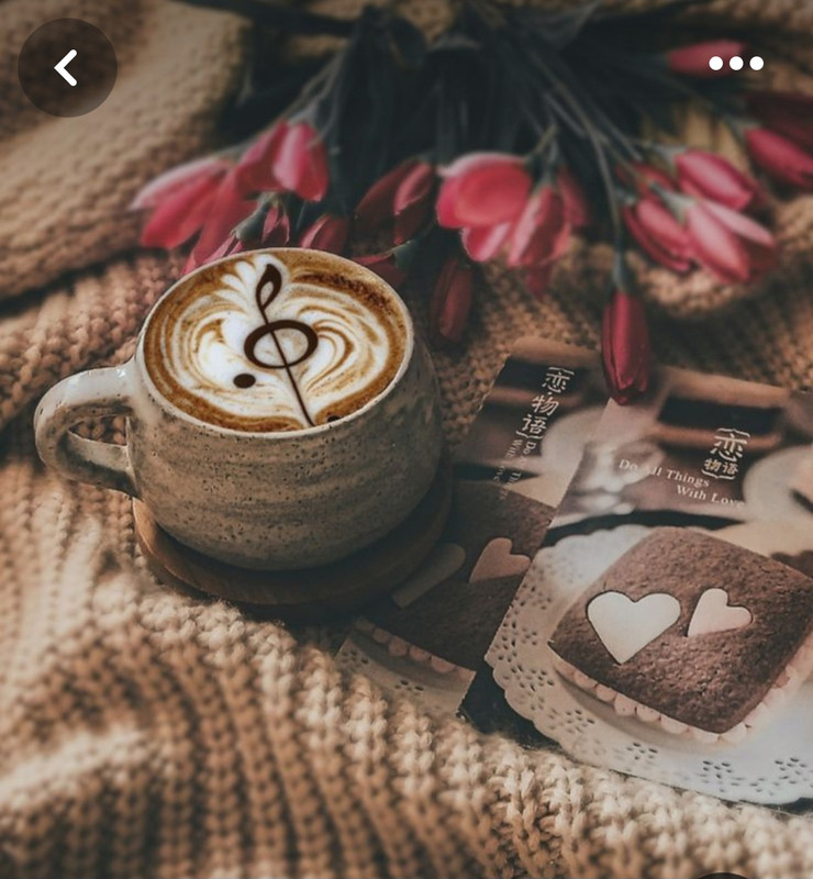 Screenshot_20240425_232535_Pinterest