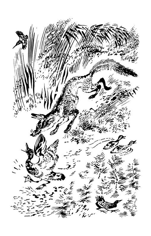 1993-page-0189
