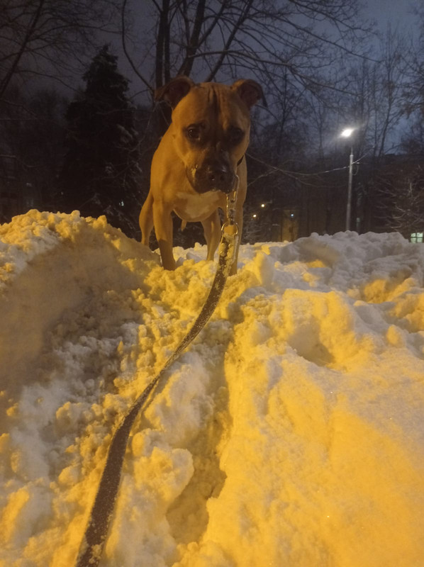 5265B17E-F029-4C0E-9576-AE97E2FDA66D