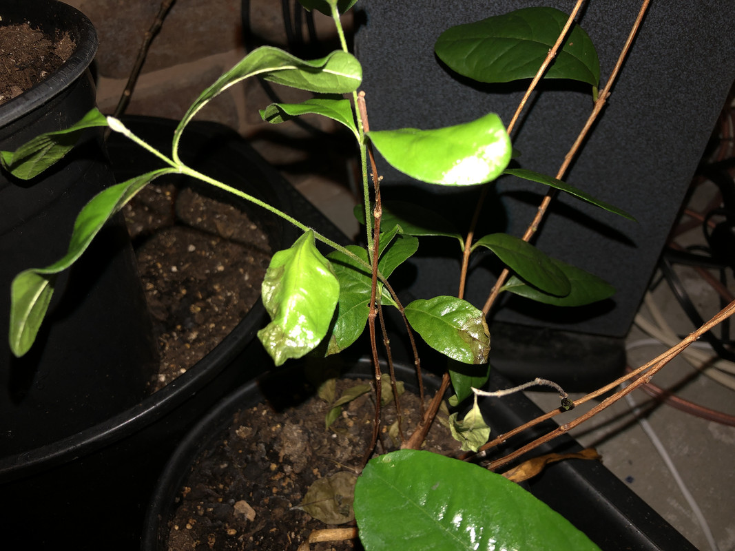 116F89F0-9B6F-49CC-8506-208E880EAF83