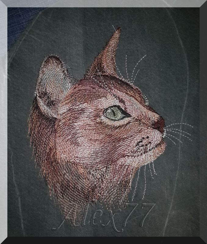 задумчивый кот