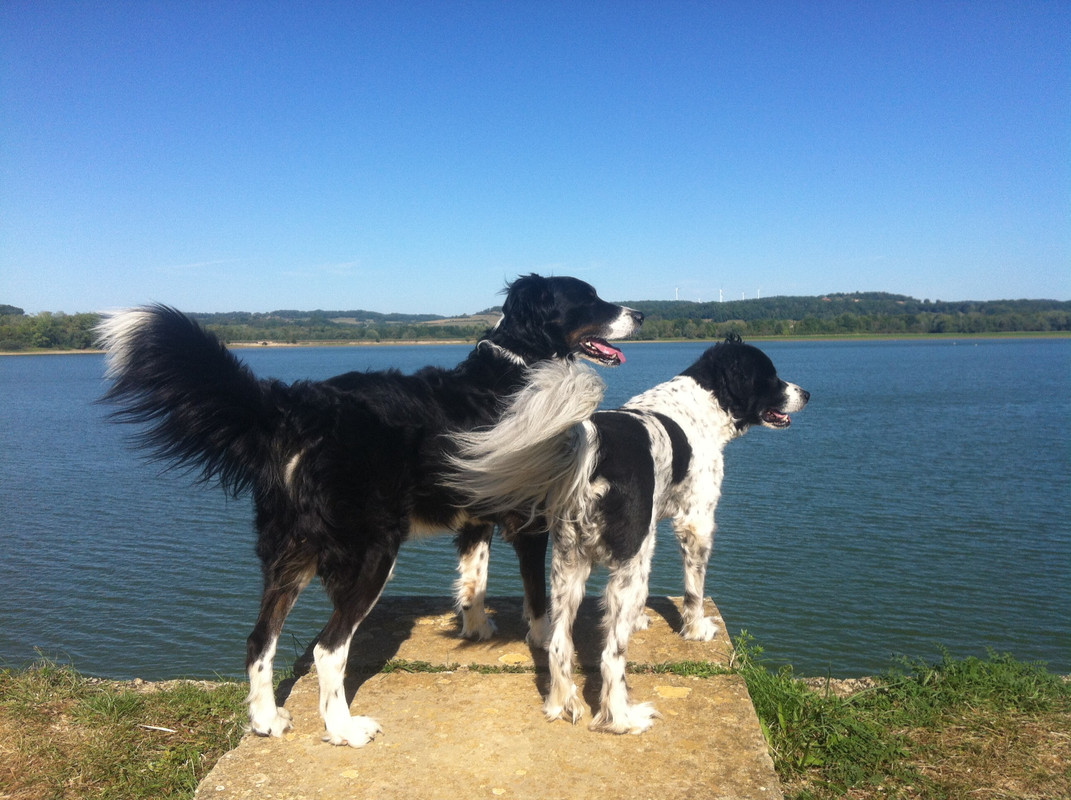 490E5262-5C5F-4B4F-9378-7BA45DFADFC9