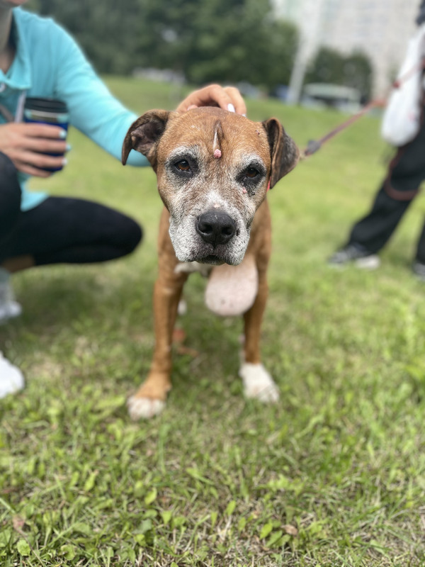 40304824-52D6-4128-8FCF-42AFB7687C7A