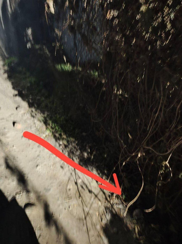 92841c33d85827bda148f4fab7f96f8c