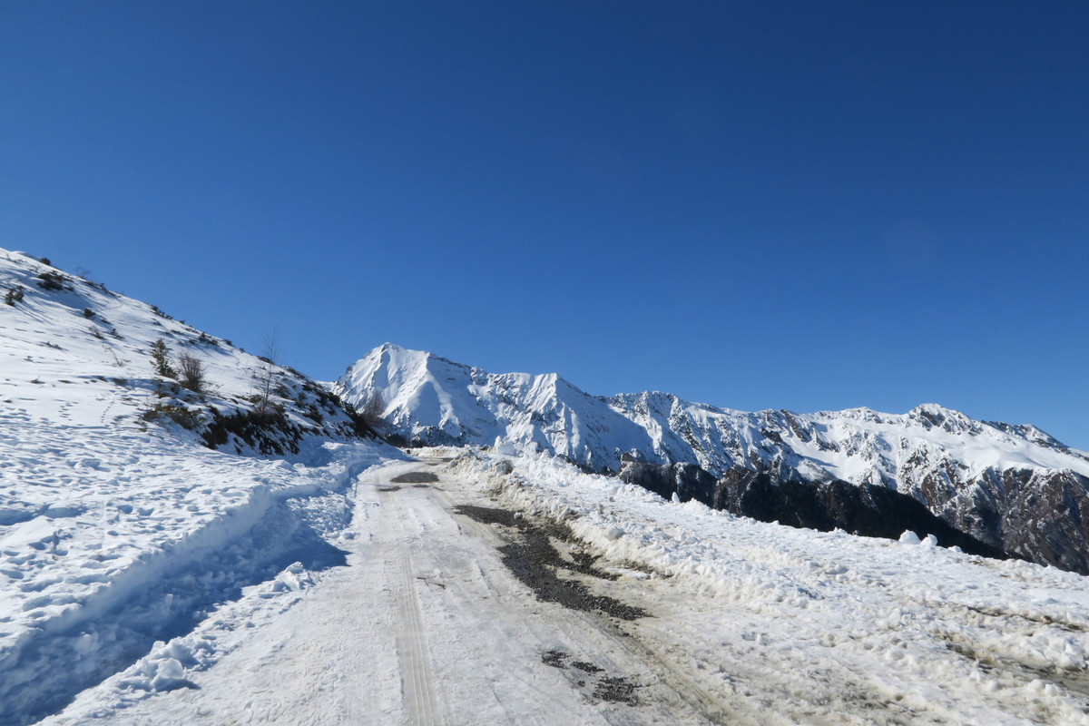 IMG_1908_compressed