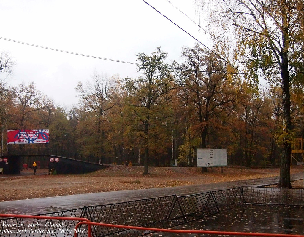 Воронеж, осень, парк
