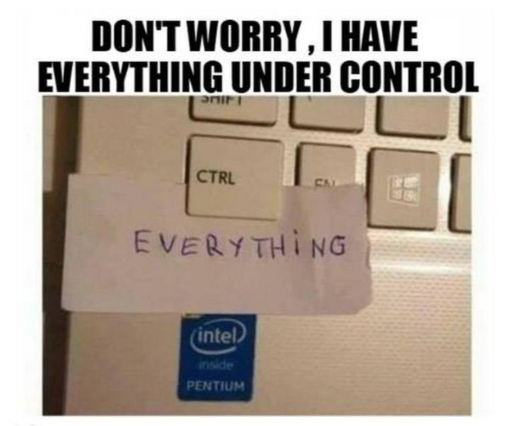 everything.jpg
