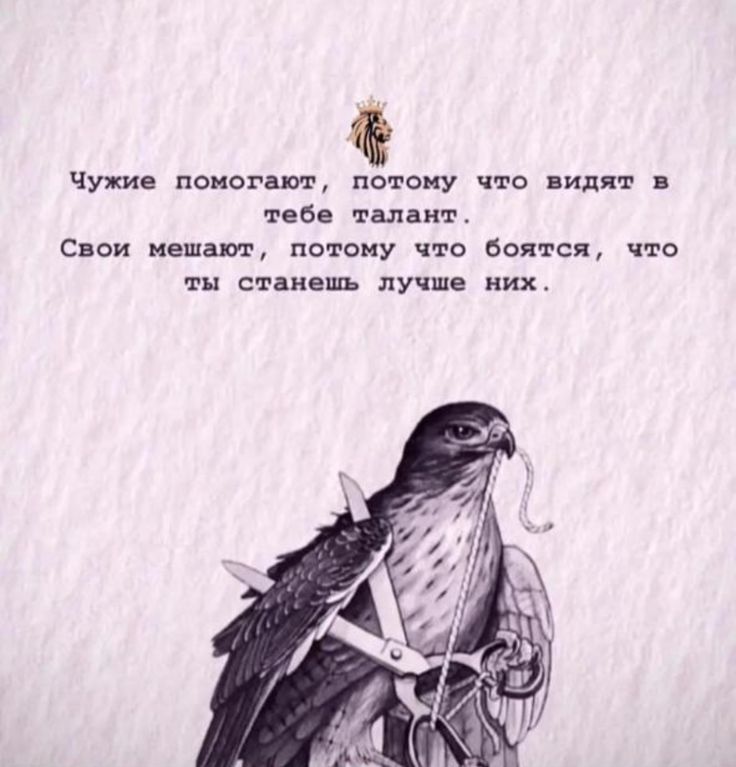 [Изображение: 777edd1a6289ef33a1cdb1e6d42b7040.jpg]