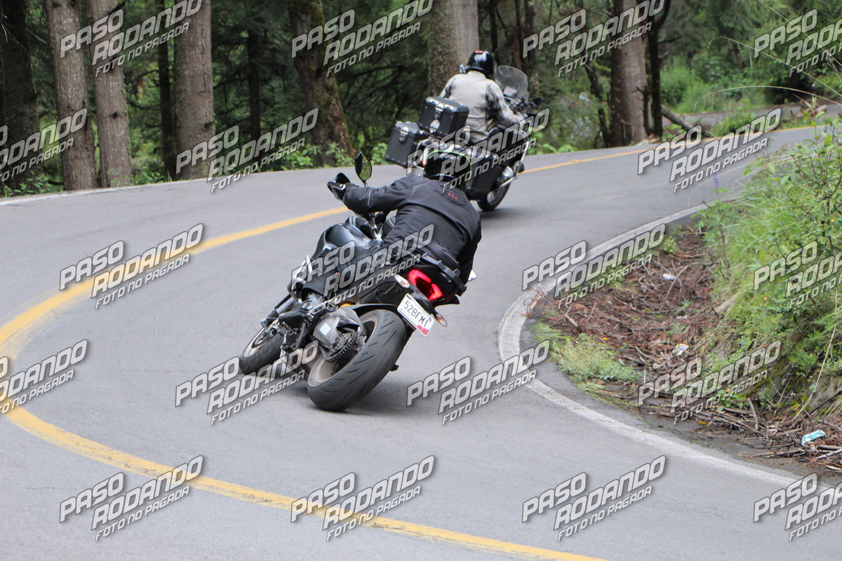 IMG 0019 wm 896761 8 watermarked — Postimages