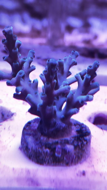 F3A4CE06-6436-4469-BBBD-745E92EDE8C8