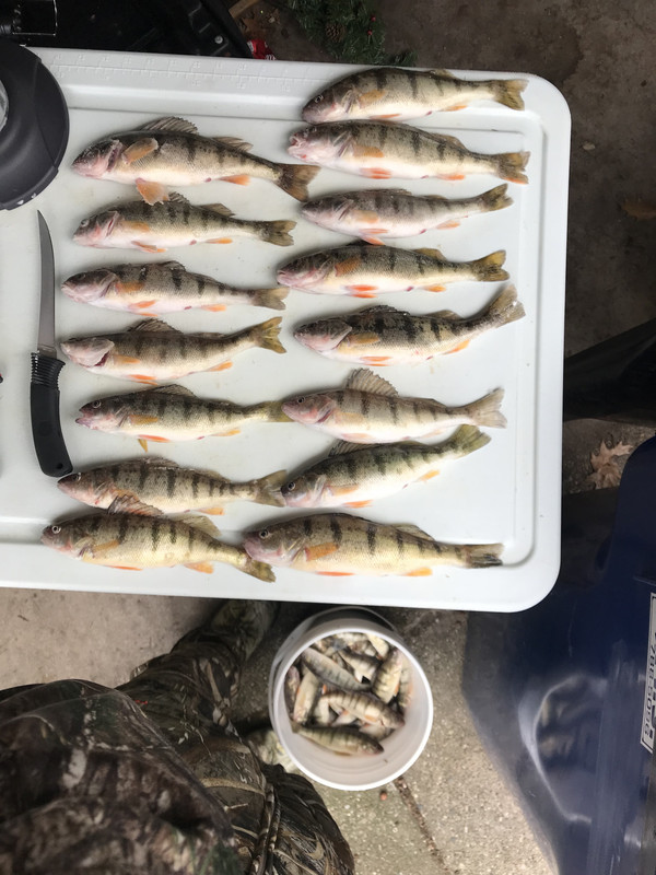 451D08CA-4A4C-4CE2-80BF-3217D086FBDD