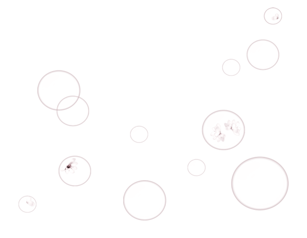 TADD_elements_PrincessParisian (92)