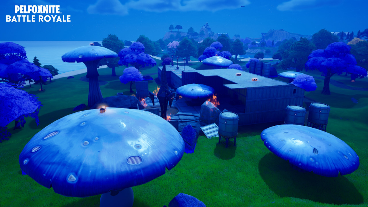 Image large sur desktop