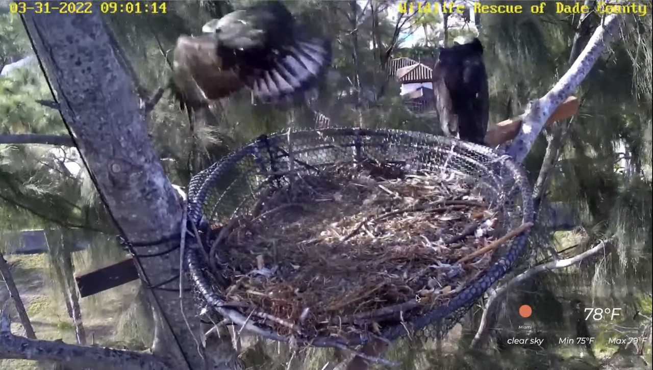 A44CD9B9-39C1-4A60-A8CA-0032BB5A7E68