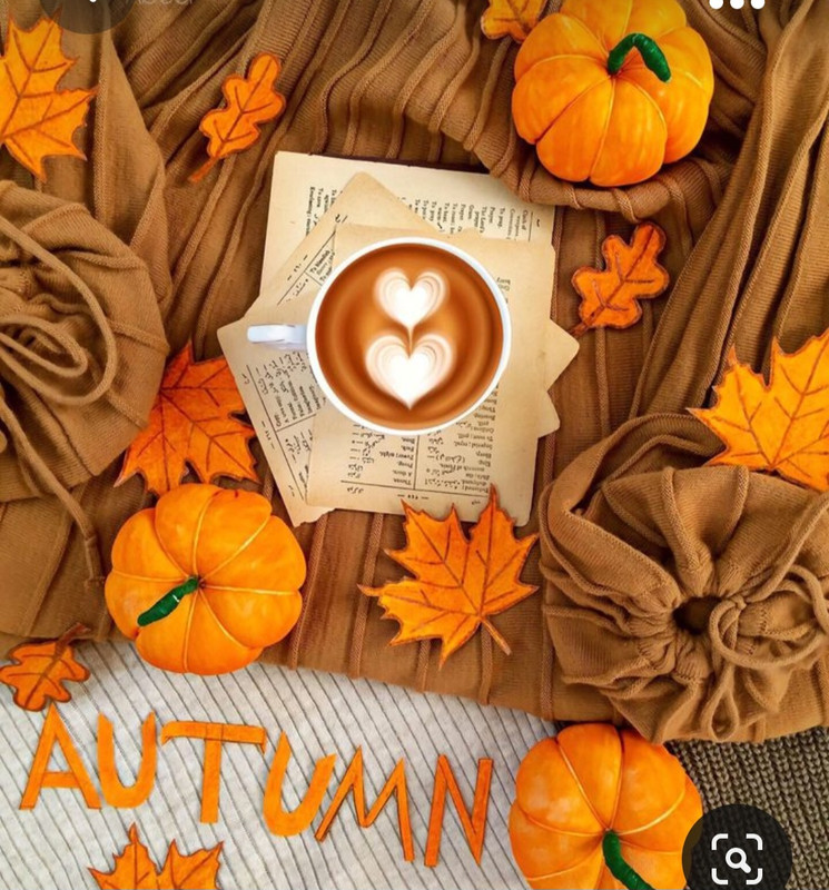 Screenshot_20231008_214241_Pinterest