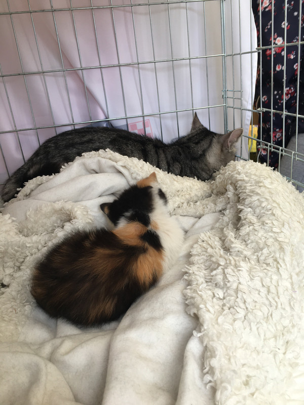 IMG_3560-23-06-18-08-12