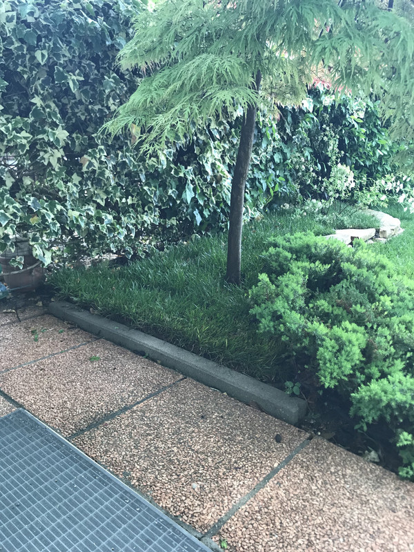 84CE74AB-A7A4-401C-8547-01E6457278E6