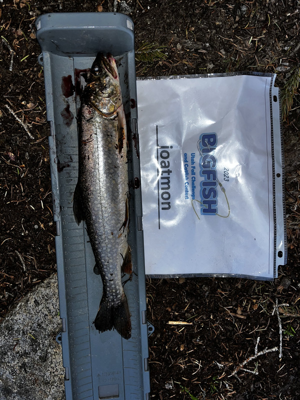 8786E58B-3CCC-4AF1-B84F-0F22578660C2