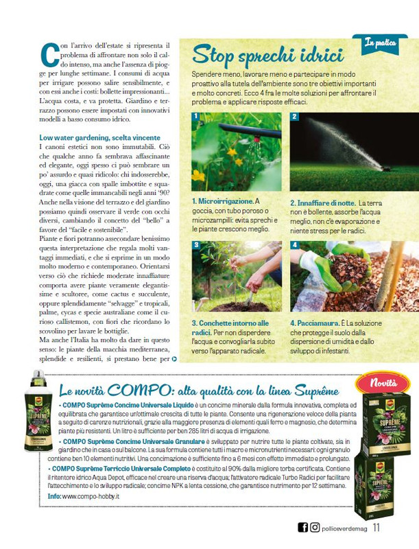 Pol Ver Giu 2025 (6)