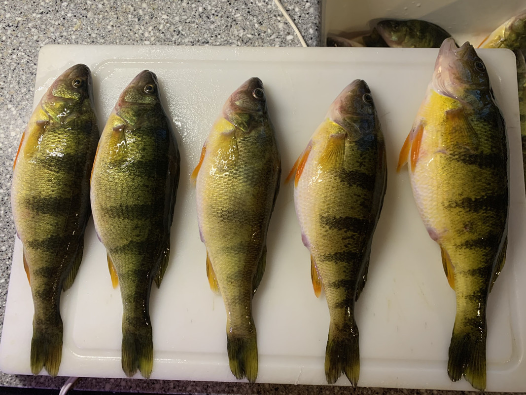 C6772757-B307-4832-9034-1499BD7648C8