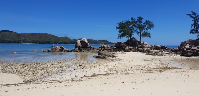 Seychelles-2ª parte de nuestra luna de miel. Se puede pedir más? - Blogs de Seychelles - DÍA 5:  PRASLIN (norte) (9)