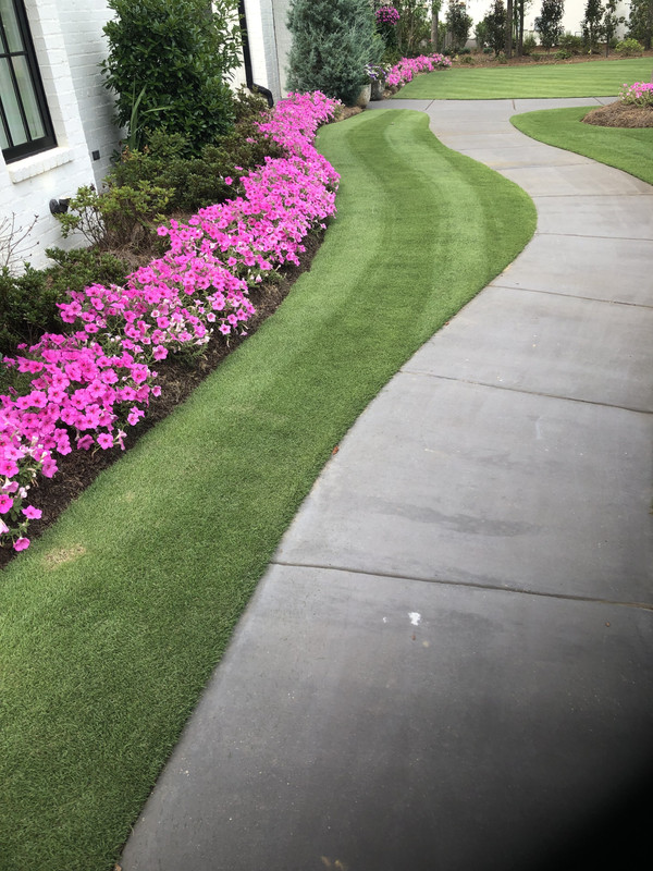 Yard And Golf Green Build The Lawn Forum