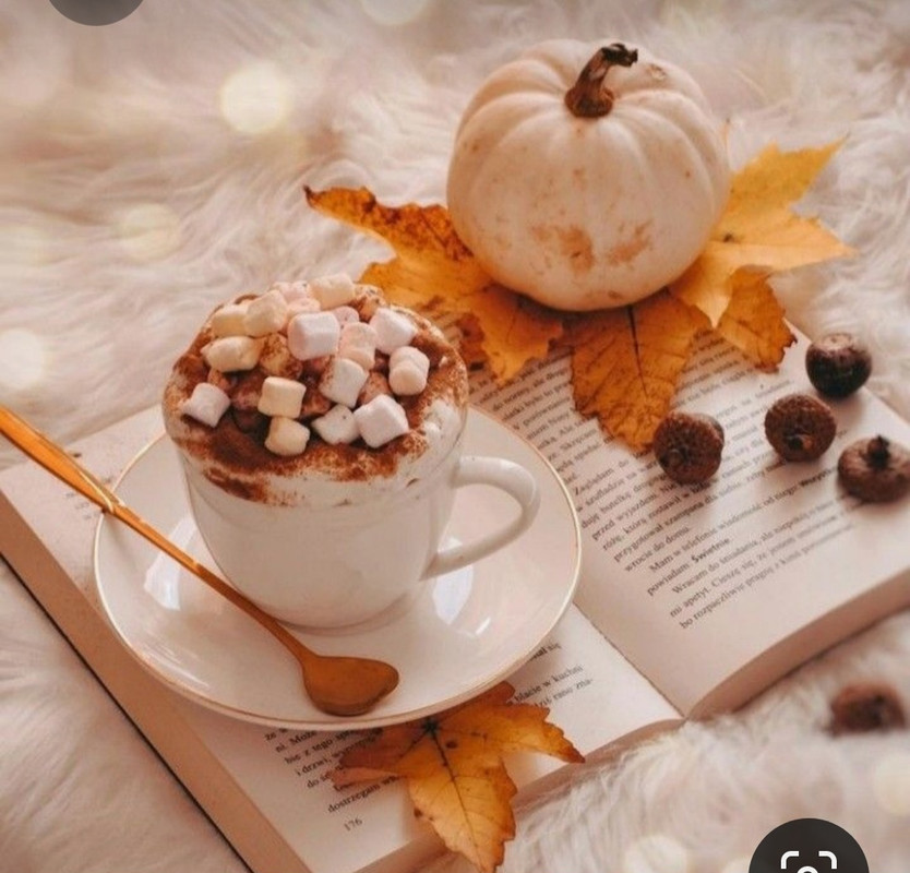 Screenshot_20231008_214744_Pinterest