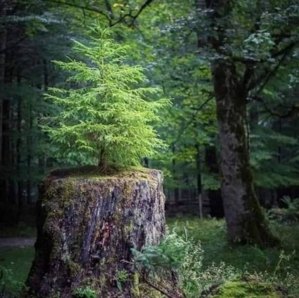Naturaleza-7