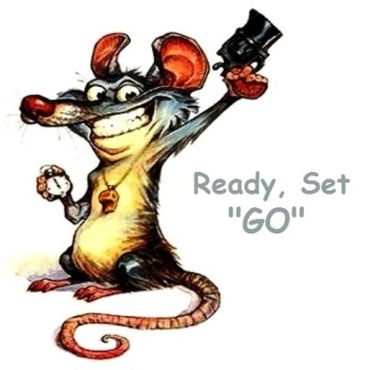 Rat-Race-Starter