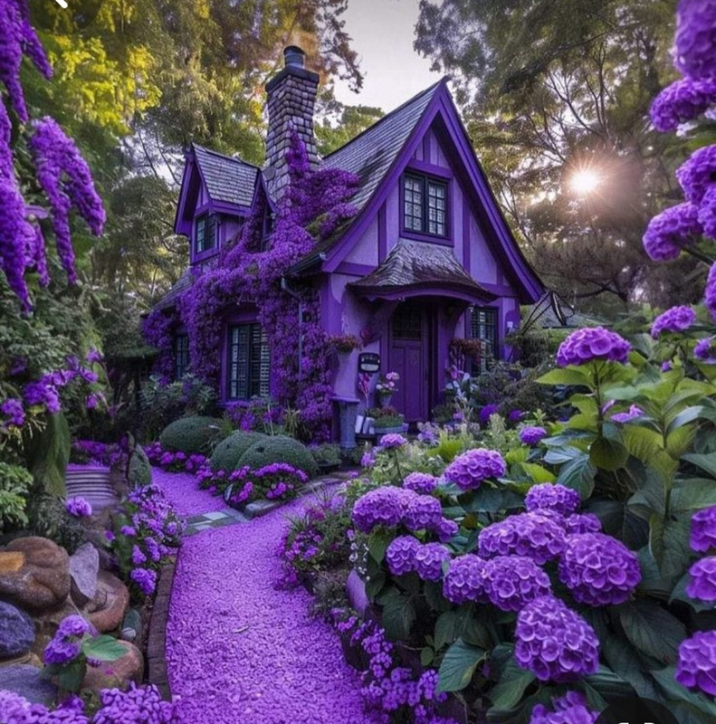 Screenshot_20240405_201251_Pinterest