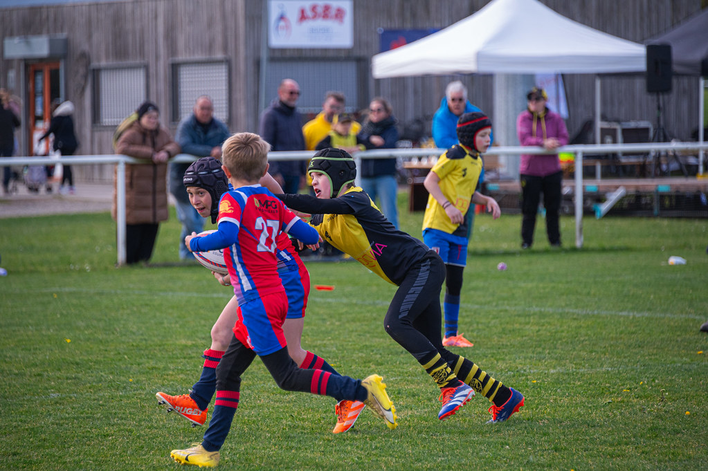 tournoi-de-latlantique-2026-adonis-griffon-60-55181458028-l