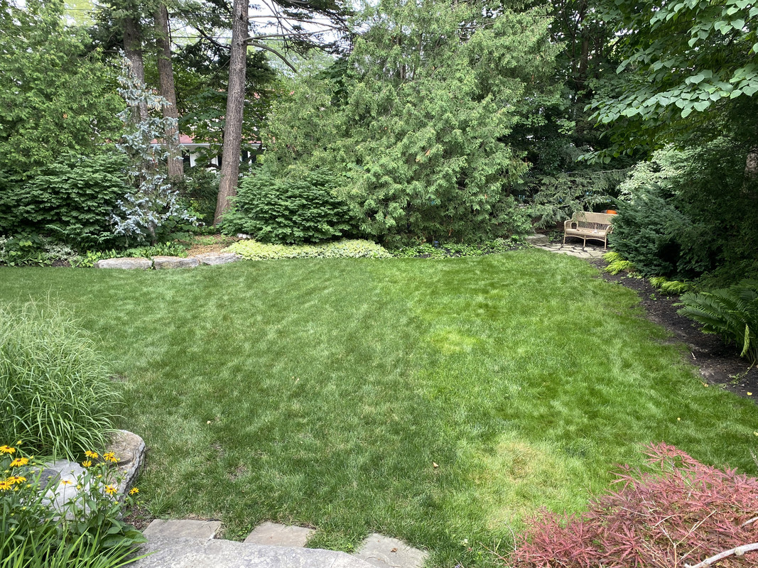 826BF202-A4A5-420F-9BAF-89E17DCCBF9B