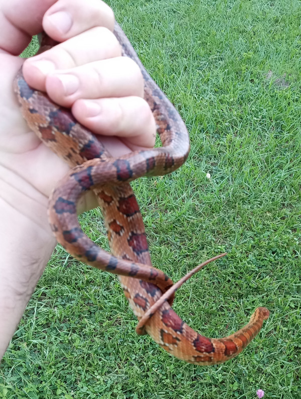 IMG_20230927_163553729~2