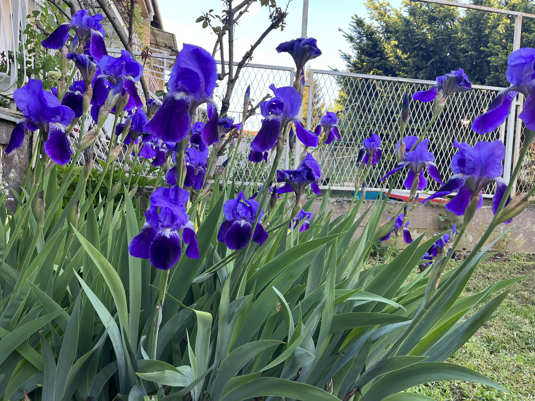 D39E71B8-5A08-4158-9791-7607B96417B9